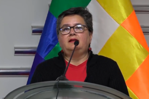 Ministra de Trabajo, Verónica Navia, niega crisis y desempleo en el país