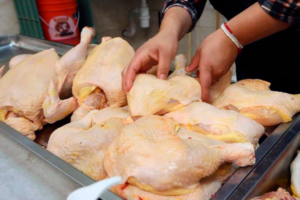 Defensa al Consumidor en Tarija informa que el kilo de pollo subió a 16 bolivianos por el paro de transporte