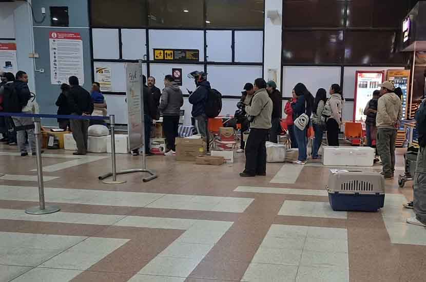 Familiares en Tarija envían carne por vía aérea a La Paz ante escasez por bloqueos