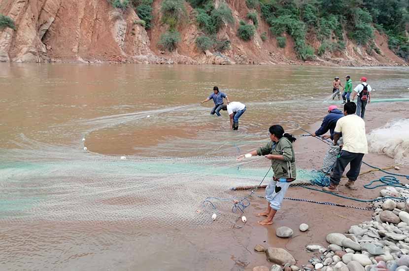 Anuncian levantamiento de veda del sábalo en el Pilcomayo a partir del 18 de abril